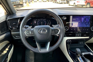 2024 Lexus NX