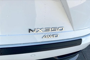 2024 Lexus NX
