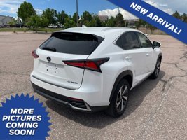 2019 Lexus NX