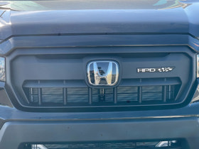 2024 Honda Passport