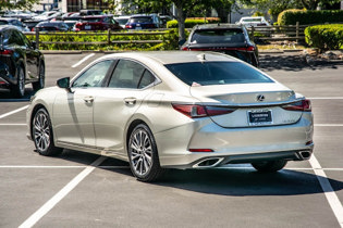 2020 Lexus ES