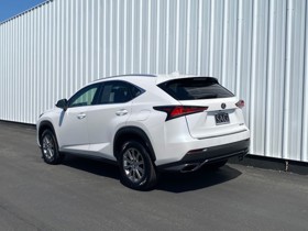 2020 Lexus NX