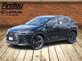 2024 Lexus NX