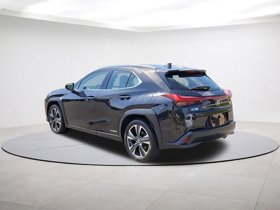 2020 Lexus UX