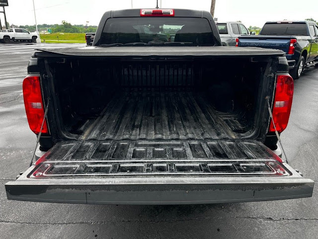 2019 Chevrolet Colorado 4WD Work Truck Crew Cab