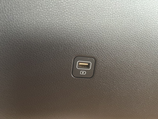 2024 Kia Carnival LX Seat Package