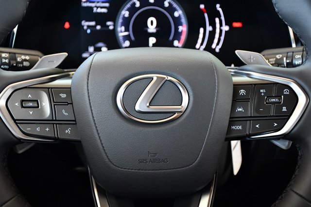 2025 Lexus NX 250