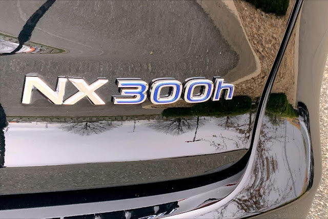 2021 Lexus NX F SPORT Black Line