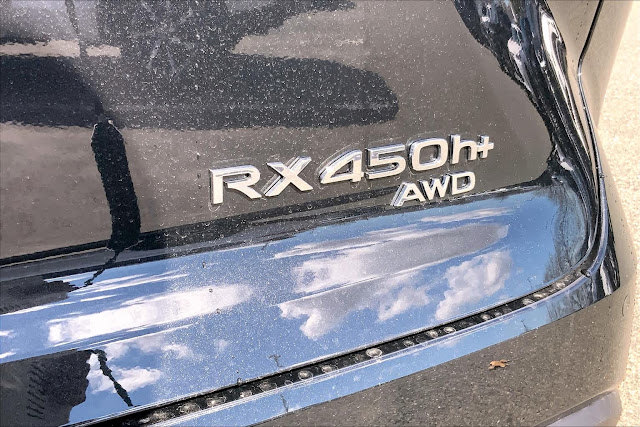 2024 Lexus RX Luxury