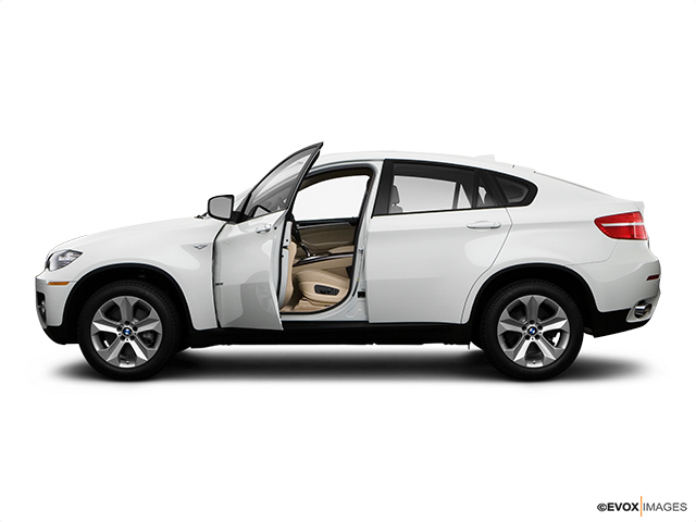 2009 BMW X6