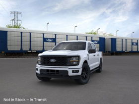 2025 Ford F-150 STX's photo
