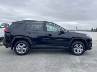 2024 Toyota RAV4 XLE Toyota RAV4 in Huntington Beach, California