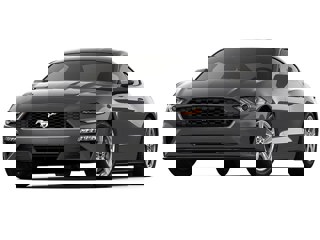 Ford Mustang Coupe Ford Mustang in Gastonia, North Carolina