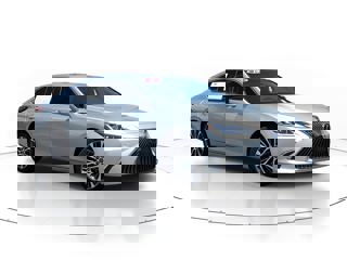 2019 Lexus ES 350 Lexus ES in Lakeland, Florida