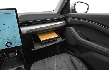 2021 Ford Mustang Mach-E 2021 Ford Mustang Mach-E