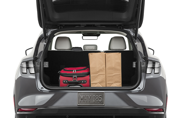 2022 Ford Mustang Mach-E 2022 Ford Mustang Mach-E