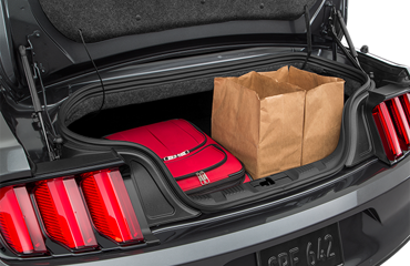 2017 Ford Mustang 2017 Ford Mustang